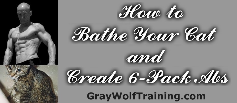 How to Bathe Your Cat and Create 6-Packs Abs